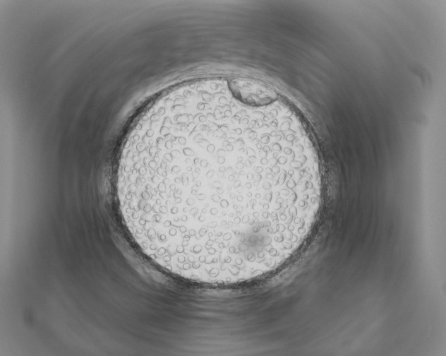 X0000110911499200907301531