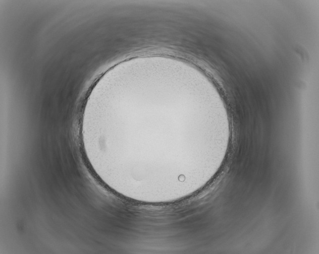 X0000110911500200907301531