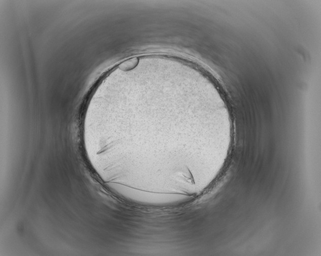 X0000110911501200907301531