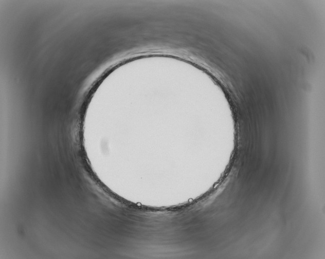 X0000110911502200907301531