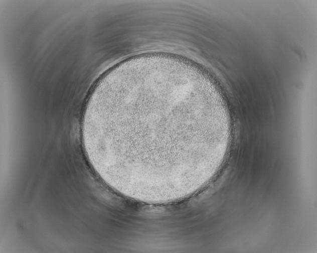 X0000110911505200907301531