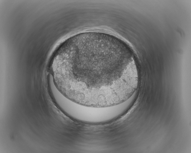 X0000110911506200907301531