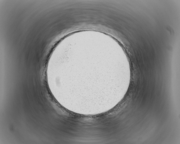 X0000110911507200907301531