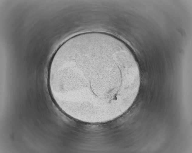 X0000110911508200907301531