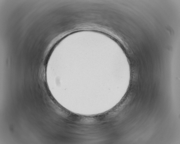 X0000110911509200907301531