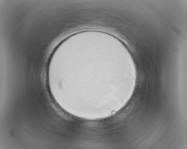 X0000110911511200907301531