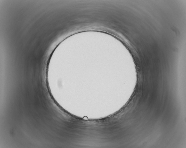 X0000110911512200907301531