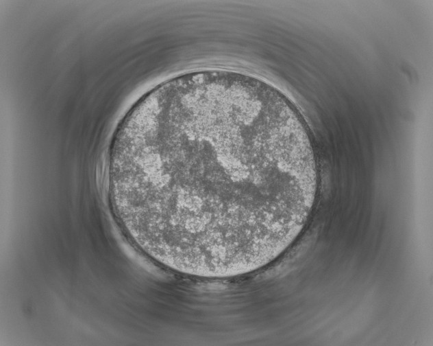 X0000110911515200907301531