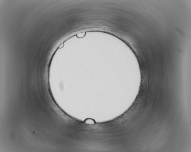 X0000110911516200907301531