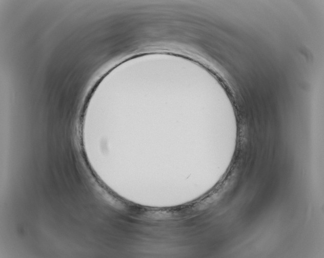 X0000110911517200907301531