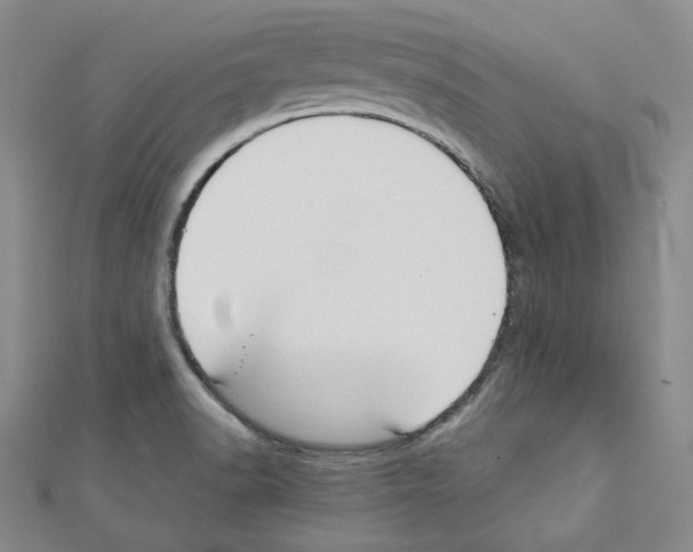 X0000110911518200907301531