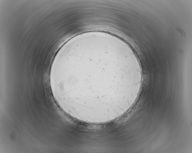 X0000110911521200907301531