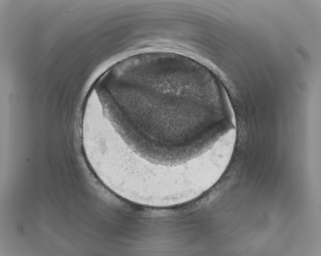 X0000110911522200907301531