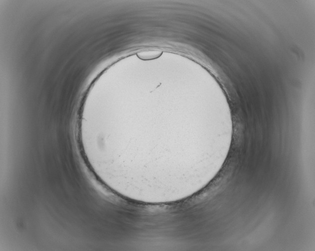 X0000110911523200907301531