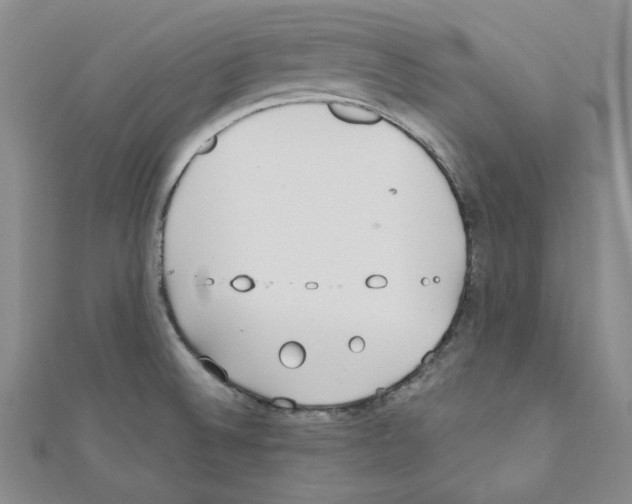 X0000110911524200907301531