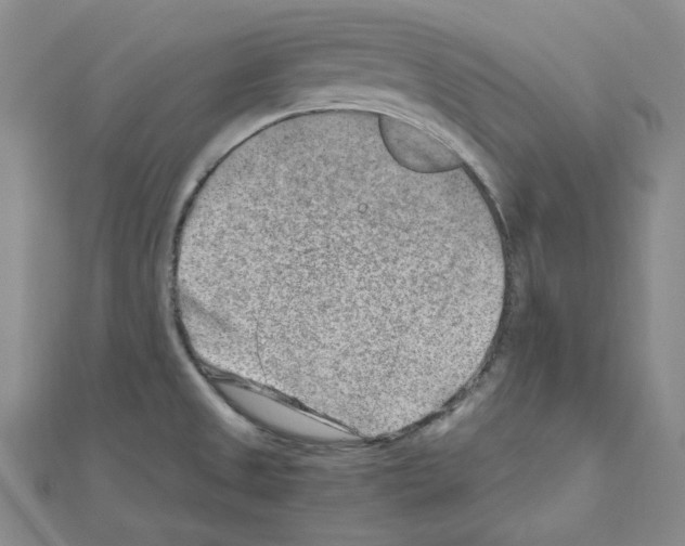 X0000110911525200907301531