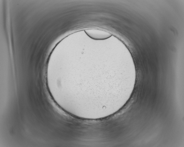 X0000110911526200907301531