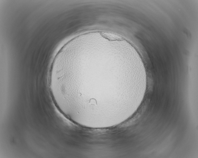 X0000110911527200907301531