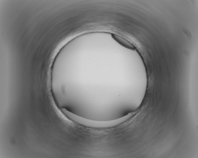 X0000110911528200907301531