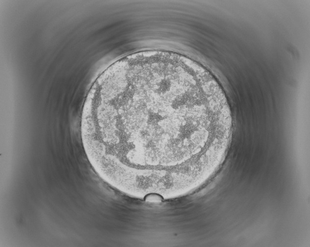 X0000110911529200907301531