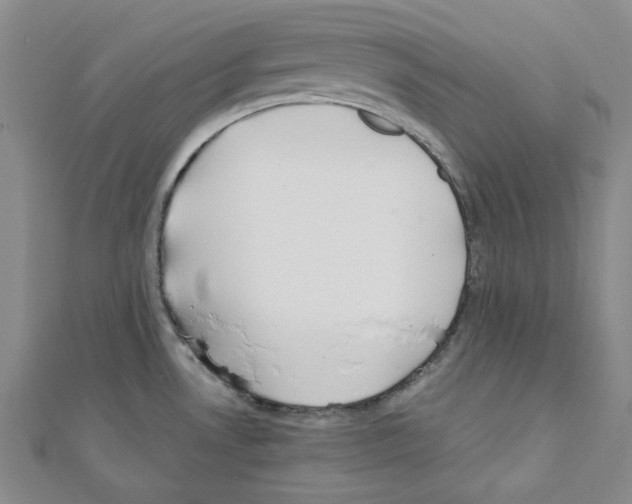 X0000110911530200907301531