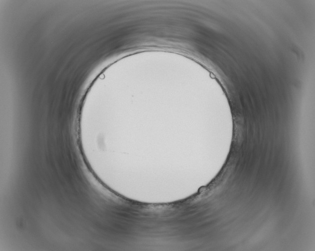 X0000110911531200907301531