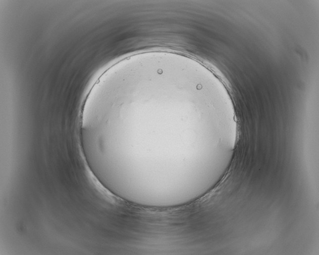 X0000110911532200907301531