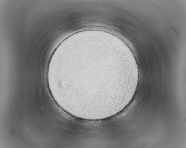 X0000110911533200907301531