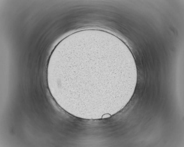 X0000110911534200907301531