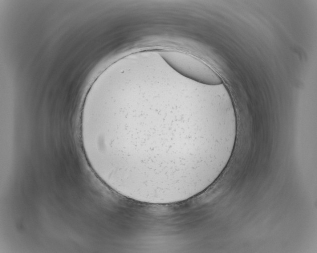 X0000110911536200907301531