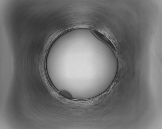 X0000110920001200906181225