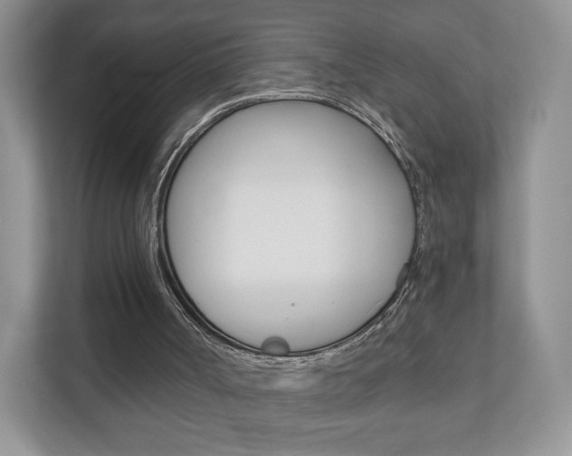 X0000110920002200906181225