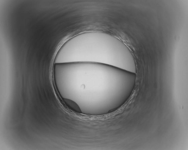 X0000110920003200906181225