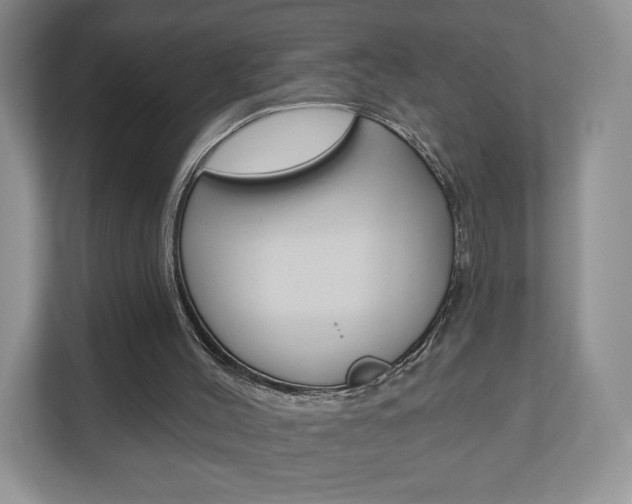 X0000110920004200906181225