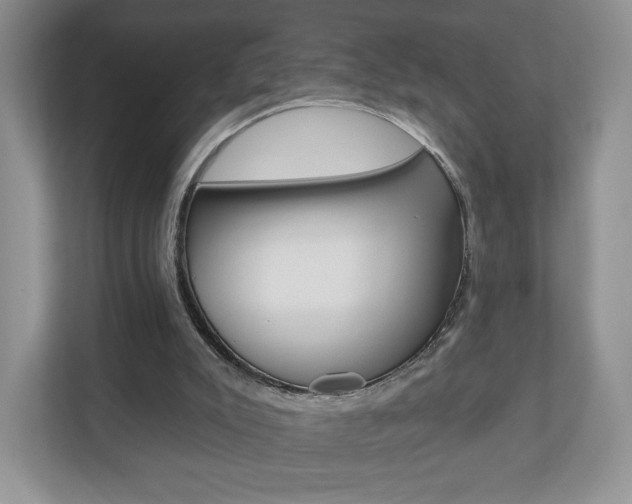 X0000110920007200906181225