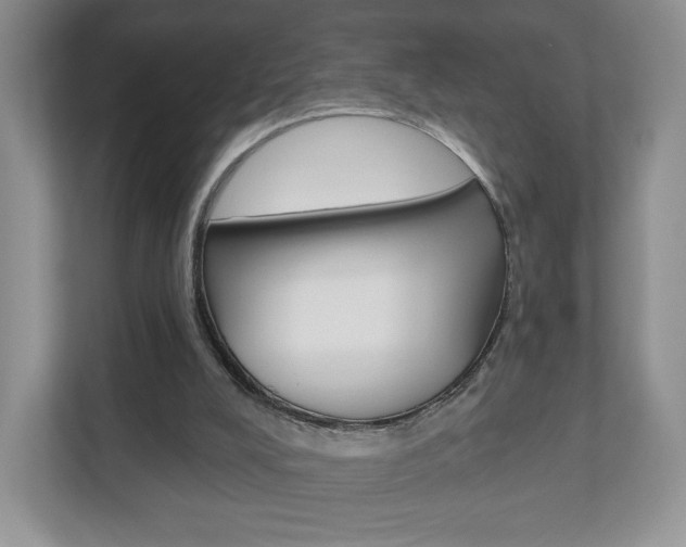 X0000110920008200906181225