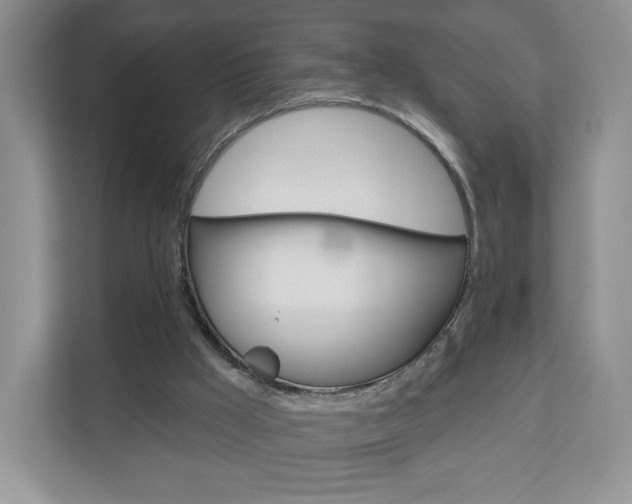 X0000110920009200906181225