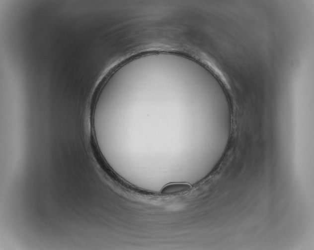 X0000110920011200906181225