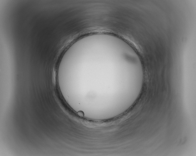 X0000110920014200906181225