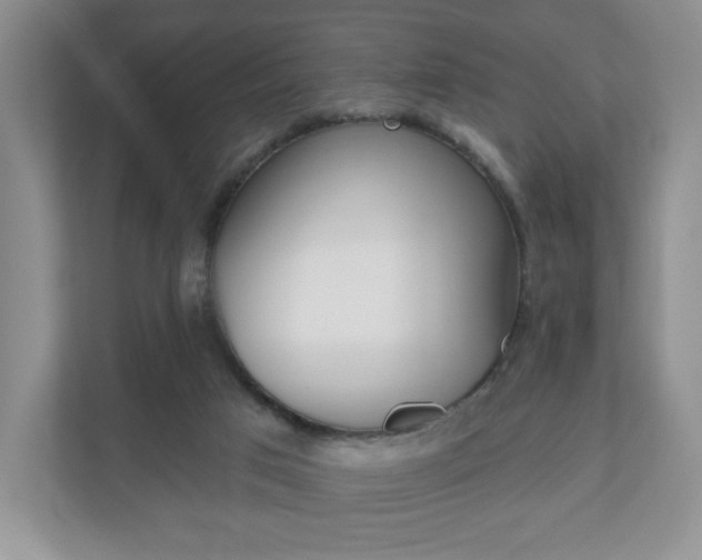 X0000110920017200906181225