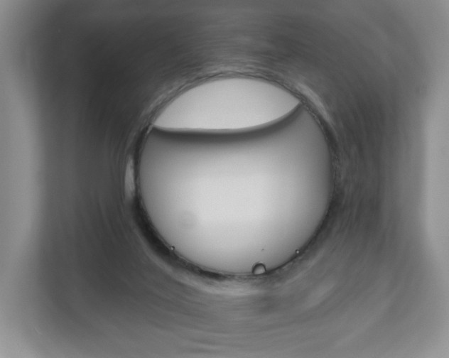 X0000110920020200906181225