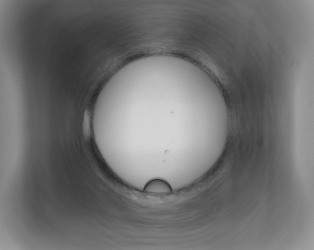 X0000110920022200906181225