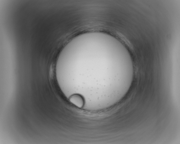 X0000110920026200906181225
