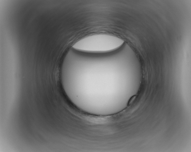 X0000110920036200906181225