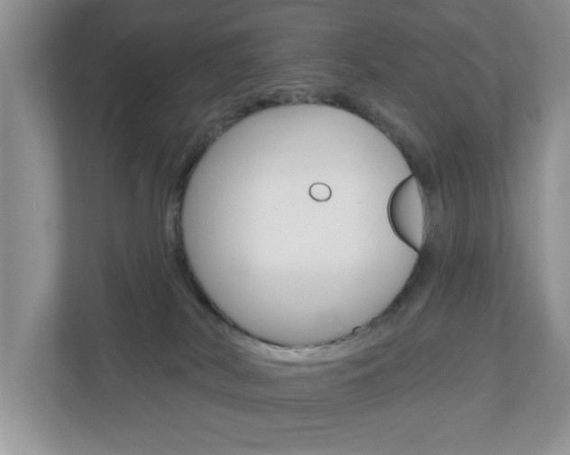 X0000110920038200906181225