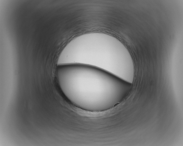 X0000110920039200906181225