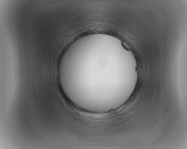 X0000110920040200906181225