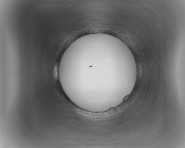 X0000110920042200906181225