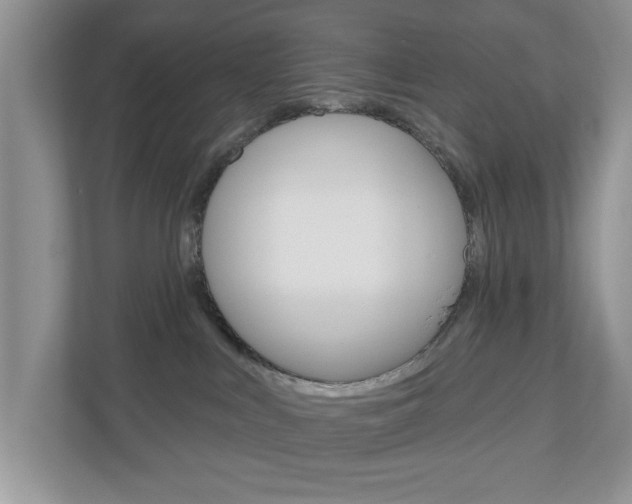 X0000110920043200906181225