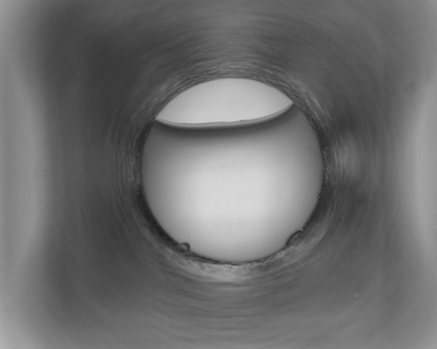 X0000110920044200906181225